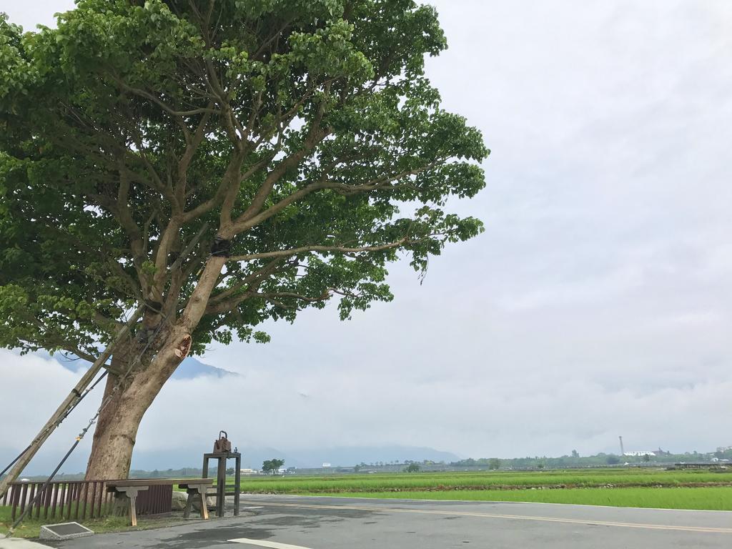 玉蟾園民宿 寵物友善 Yuchanyuan B&B Chishang Luaran gambar