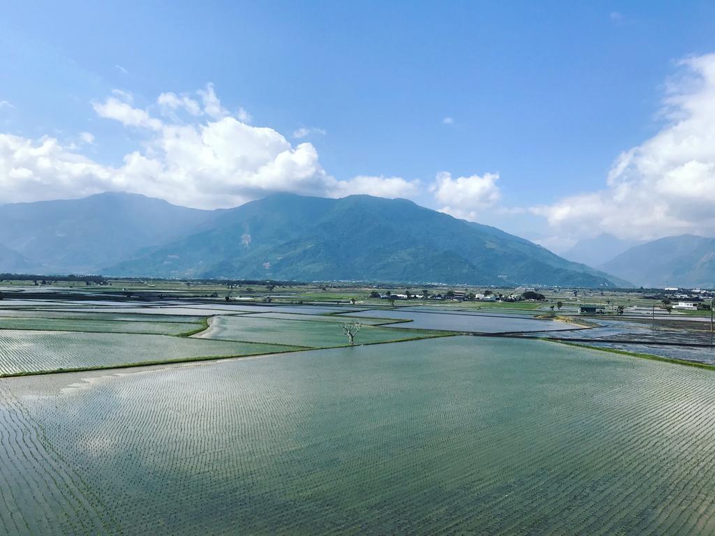 玉蟾園民宿 寵物友善 Yuchanyuan B&B Chishang Luaran gambar