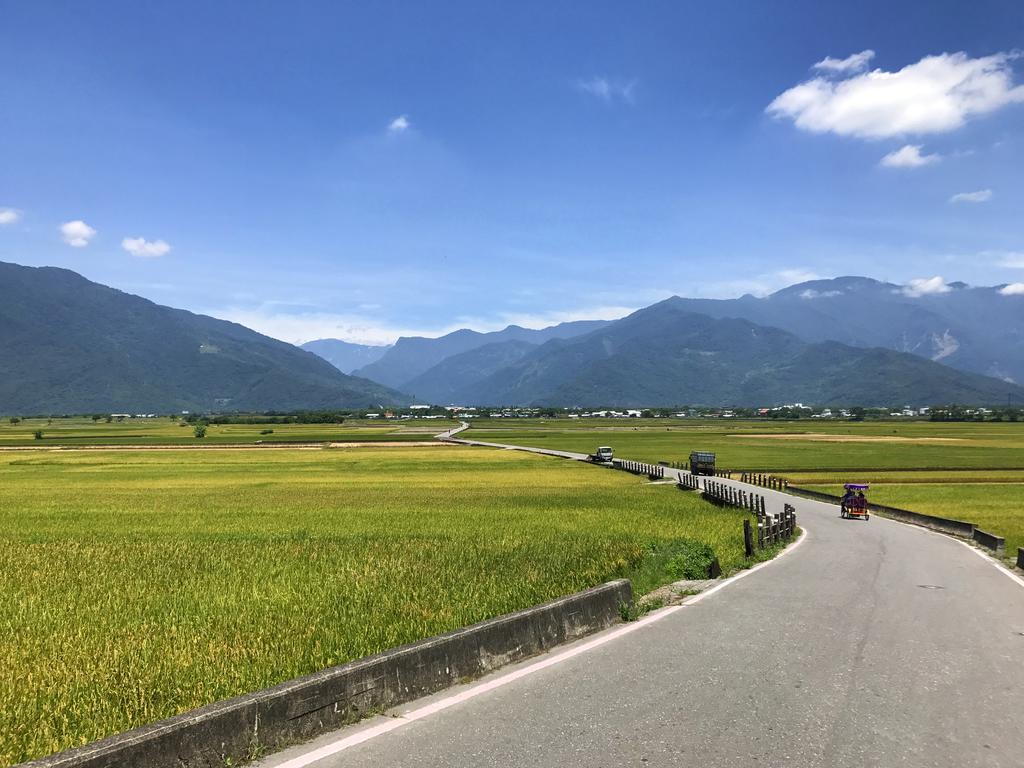 玉蟾園民宿 寵物友善 Yuchanyuan B&B Chishang Luaran gambar